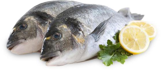 88-882967_fish-fish-for-food-png dorade au four recette boyaux bretons marinade