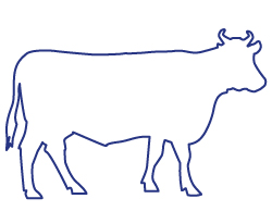 comment utiliser boyau boeuf comment utiliser boyau de boeuf, pour quel type de charcuterie