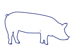 comment utiliser boyau porc comment utiliser boyau de porc, pour quel type de charcuterie