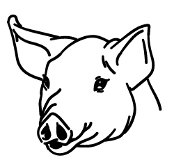 boyau-porc-vente-en-ligne-boyaux-bretons boyau de porc- menu de porc- suivant de porc - chaudin de porc naturel - vente en ligne Boyaux Bretons